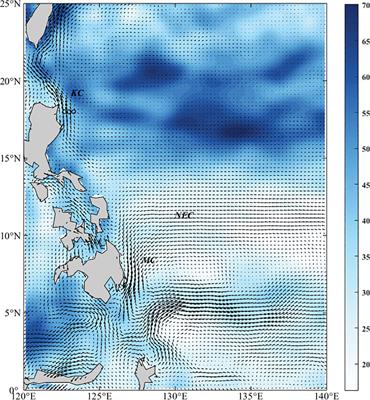 Vertical distribution of intraseasonal variation signals in the Kuroshio Current source area during 2018–2020